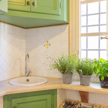Aromatic House Apartment *